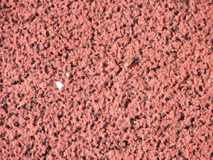 Insekt und Kaugummi auf leicht rotem Grund