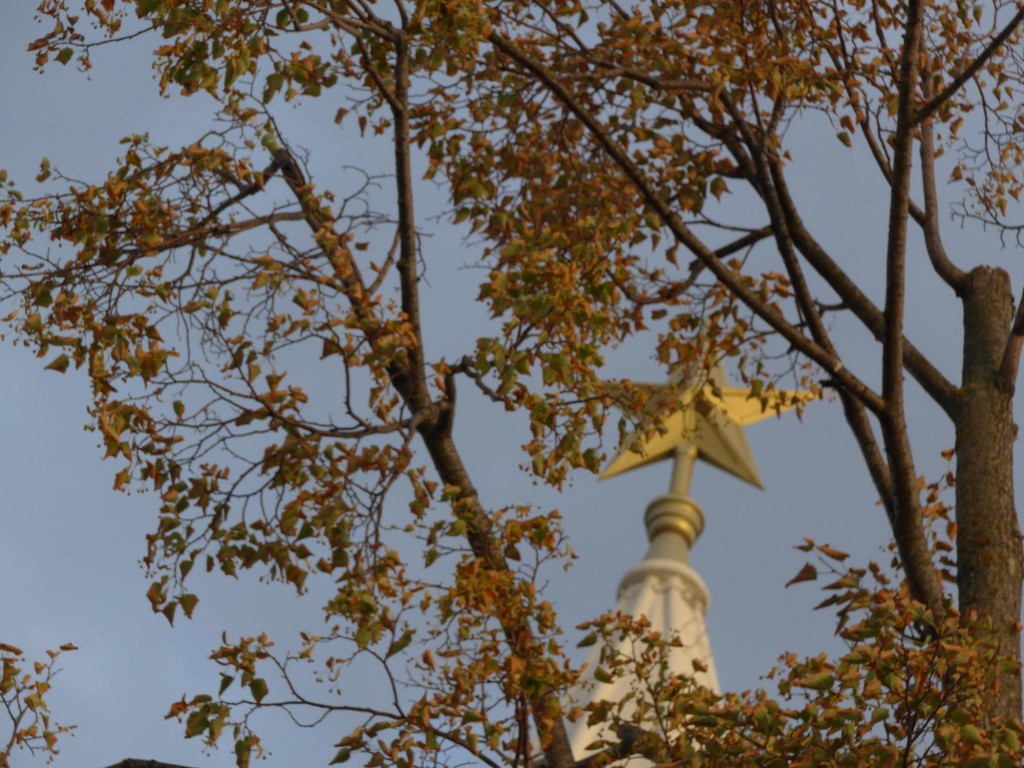 Stern auf der Spitze eines Tores des Kasaner Kremls, verdeckt von den Ästen eines Baums