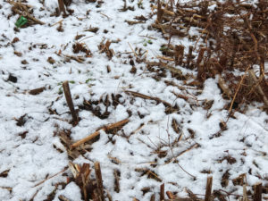 Fotos der schneebedeckten umliegenden Gipfel müssen wegen mangelhaften optischen Zooms leider entfallen