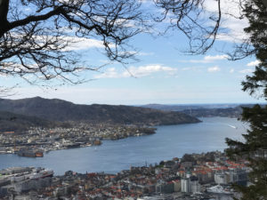 Aussicht vom Berg Fløyen