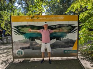 Laut Tafel handelt sich es bei diesem Exemplar offenbar um einen Weißkopfseeadler