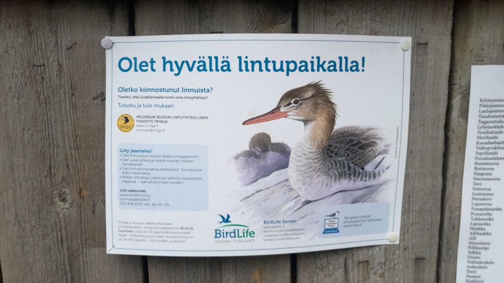 Die Teamleader haben ihre Finnisch-Kenntnisse überhaupt nicht überschätzt.